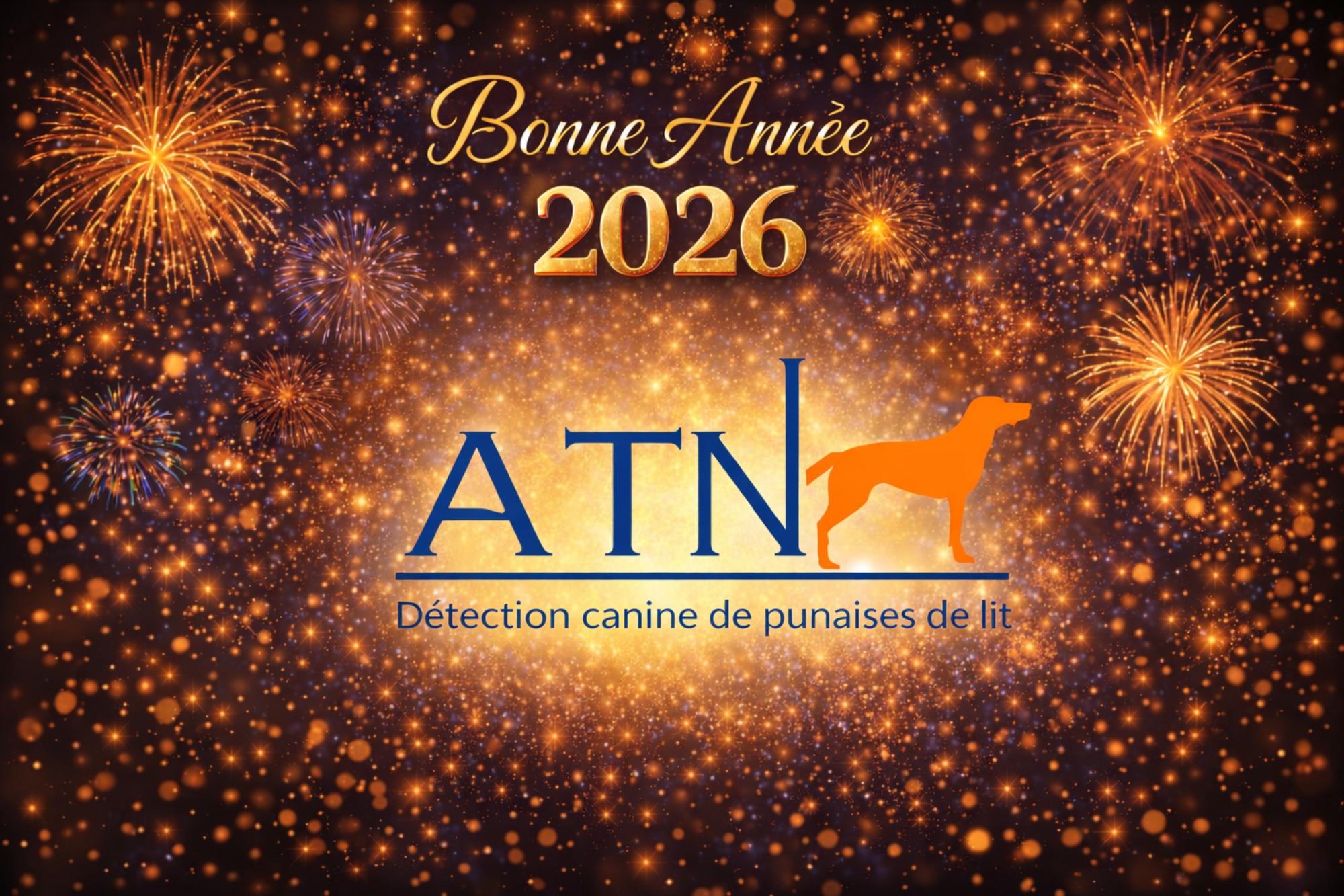 Meilleurs v&oelig;ux 2026 &ndash; ATN D&eacute;tection Saverne